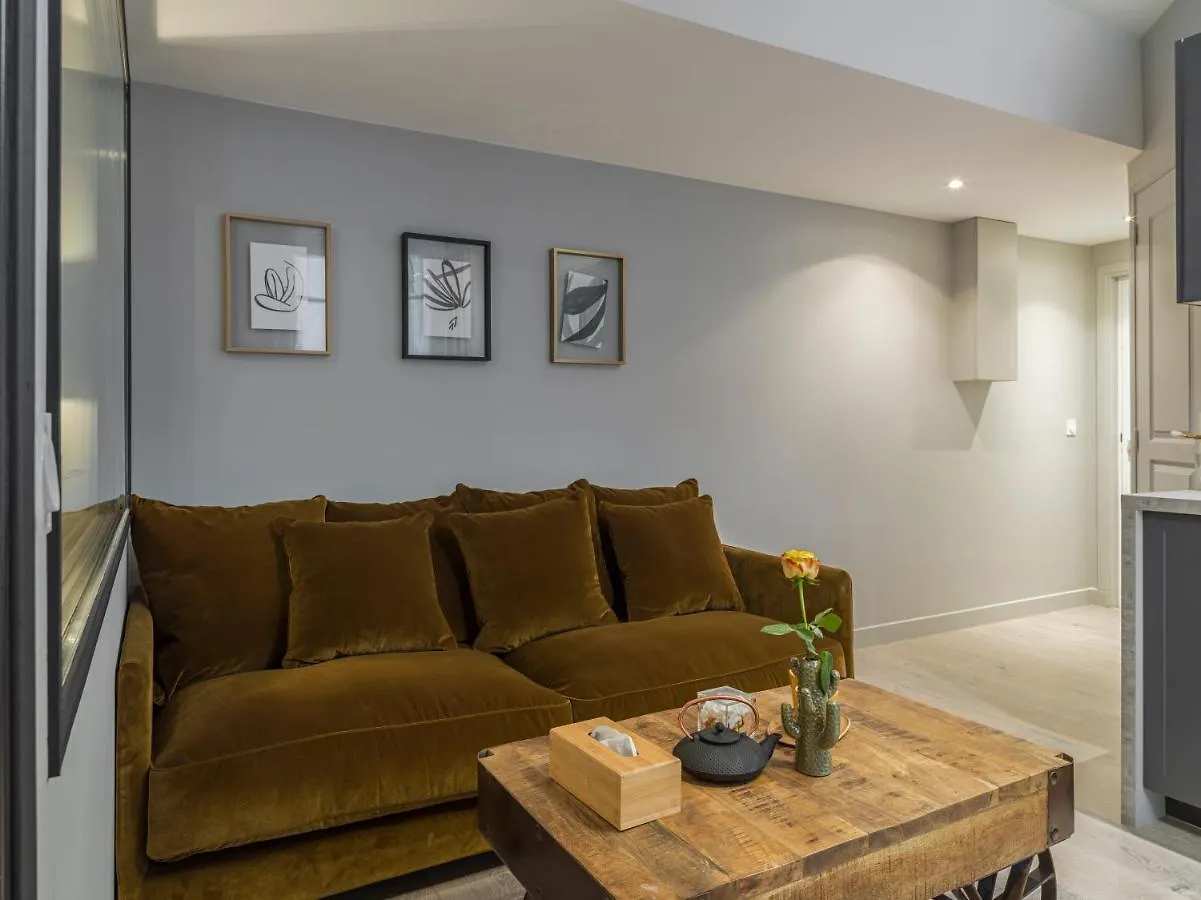 Fabulous Grey Apartment Paris France